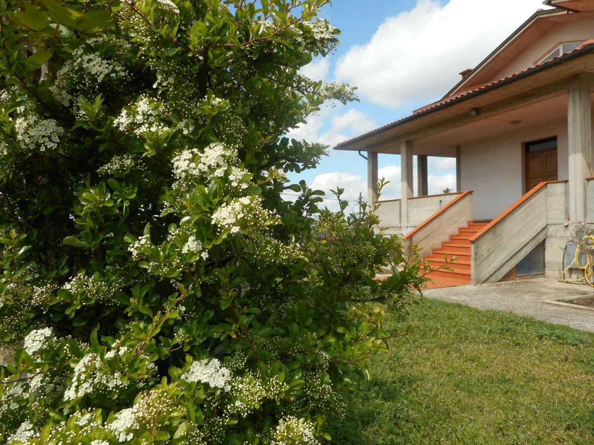 Ferienwohnung Poggio Fiorito Castiglion Fiorentino Exterior foto