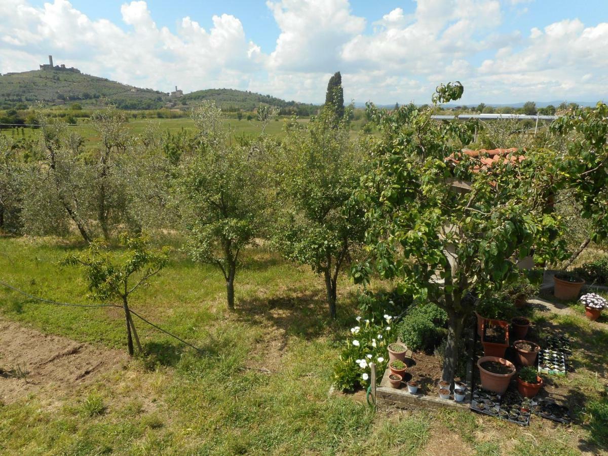 Ferienwohnung Poggio Fiorito Castiglion Fiorentino Exterior foto