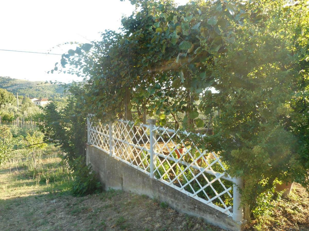 Ferienwohnung Poggio Fiorito Castiglion Fiorentino Exterior foto